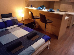 Apartment Crocus EXPO SNEZHKOM Krasnogorsk
